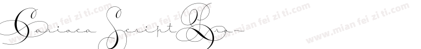 Carioca Script Pro字体转换